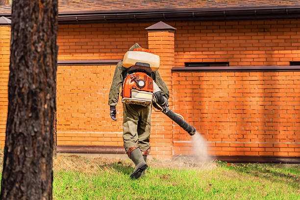 Bed Bug Clearance Verification and Documentation in New Kensington